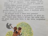 1971 m.vaikiška knygutė"gaidelis raudonskiauterėli - nuotraukos Nr. 6