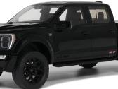 Ford Shelby F-150 - nuotraukos Nr. 3