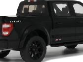 Ford Shelby F-150 - nuotraukos Nr. 4