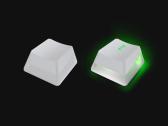 Razer Phantom Keycap Upgrade Set White - nuotraukos Nr. 4
