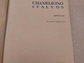 Chameleono spalvos - nuotraukos Nr. 2