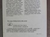 E.h. Gombrich-meno istorija - nuotraukos Nr. 2