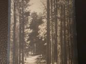 Senas atvirlaiškis 1912 m.