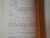 Tarpukario knyga - nuotraukos Nr. 2