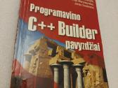 Programavimo C++ Builder pavyzdžiai