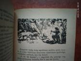 Main Ridas "Raitelis be galvos" 1954 metai. - nuotraukos Nr. 7