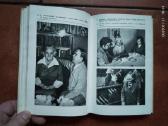 Norbertas Vėlius "Atbėga elnias devyniaragis" 1986 - nuotraukos Nr. 9