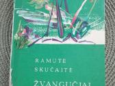 Daug knygu vaikams - nuotraukos Nr. 38
