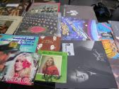 Vinilines Ploksteles - nuotraukos Nr. 22