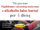 A3 Vairavimo Esant Neblaiviam Prevencijos Programa - nuotraukos Nr. 2
