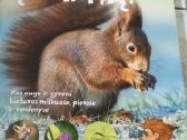 Knygos_lt.pauksciai,gyvunai ,gamta. - nuotraukos Nr. 6