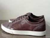 Ecco - nuotraukos Nr. 2