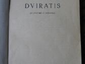 Dviratis - nuotraukos Nr. 2