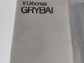 Grybai - nuotraukos Nr. 2