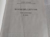 Kovose dėl Lietuvos - nuotraukos Nr. 3