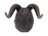 Diabolus Kaukole 18cm - nuotraukos Nr. 5