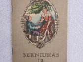 Knyga H.janesas "Berniukas ir Mergaitė"