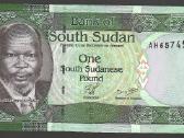 P.sudano banknotai