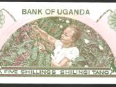 Ugandos banknotai - nuotraukos Nr. 2