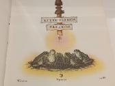 Lietuviškos pasakos Milašius Oskaras - nuotraukos Nr. 3