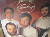 Vinilines ploksteles - nuotraukos Nr. 6
