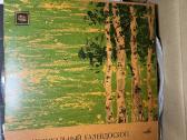 Vinilines ploksteles - nuotraukos Nr. 21