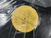 Vinilines ploksteles - nuotraukos Nr. 31