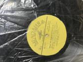 Vinilines ploksteles - nuotraukos Nr. 33
