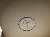 Vinilines ploksteles - nuotraukos Nr. 9