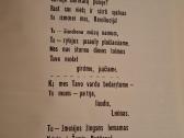 Po spalio vėliava - nuotraukos Nr. 3