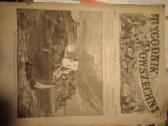 1879 metu laikrasciai su graviurom - nuotraukos Nr. 9
