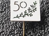 Retas, jubiliejinis ženkliukas.
