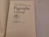 Pagonybė Lietuvoje - nuotraukos Nr. 2