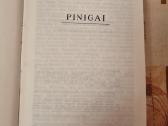 Pinigai - nuotraukos Nr. 2
