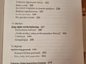 Verslo etiketas moterims - nuotraukos Nr. 7