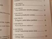 Viltis anapus rytojaus - nuotraukos Nr. 3
