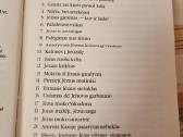 Pats didžiausias visų laikų žmogus - nuotraukos Nr. 3