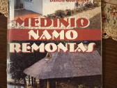 Medinio namo remontas