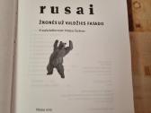 Rusai , žmonės už valdžios fasado - nuotraukos Nr. 2