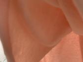Nauja baby pink trikotažinė duknelė M-l - nuotraukos Nr. 2