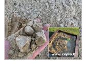 Žvyro ir kitų medžiagų pristatymas Klaipėdos raj. - nuotraukos Nr. 22