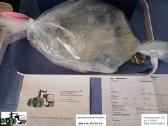 John Deere Bosch 0470506018 dyzelinis kuro siurbly - nuotraukos Nr. 37