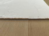Balto molio paveikslų duetas 123x69 cm; 123x33 cm - nuotraukos Nr. 19