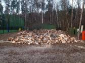 Malkos skaldytos ir kaladem. Aplinkos tvarkymas. - nuotraukos Nr. 13