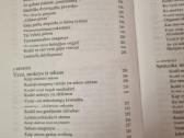 Kodėl vyrai nesiklauso o moterys nesiorientuoja že - nuotraukos Nr. 8