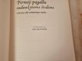 Pirmoji pagalba sudaužytoms širdims - nuotraukos Nr. 2