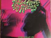 Daug vinilinių plokštelių - nuotraukos Nr. 25