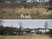 Vejos įrengimas / Apleistų sklypų frezavimas - nuotraukos Nr. 2