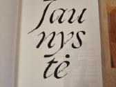 Jaunystė - nuotraukos Nr. 2
