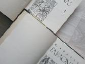 Faraonas - nuotraukos Nr. 3